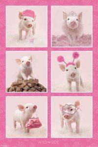POSTER WILDSIDE(SQUARES) 61 X 91.5 CM POSTER WILDSIDE(SQUARES) 61 X 91.5 CM