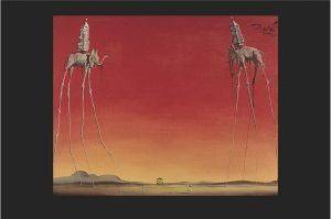 POSTER LES ELEPHANT 61 X 91.5 CM POSTER LES ELEPHANT 61 X 91.5 CM
