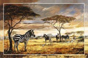 POSTER ZEBRAS 61 X 91.5 CM