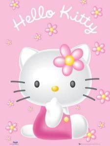 POSTER HELLO KITTY - PINK 40.6 X 50.8 CM