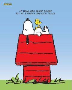 POSTER SNOOPY AND WOODST 40.6 X 50.8 CM