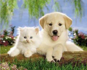 POSTER REAL PALS 40.6 X 50.8 CM