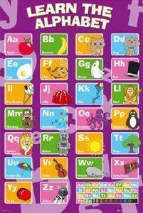 POSTER EDUCATIONAL ALPHABET 40.6 X 50.8 CM