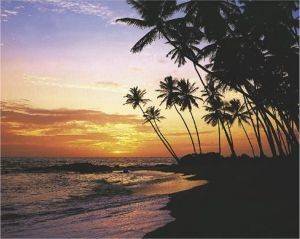 POSTER MALDIVE EVENING 40.6 X 50.8 CM POSTER MALDIVE EVENING 40.6 X 50.8 CM