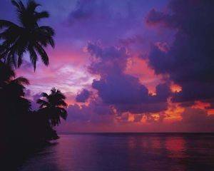 POSTER MALDIVE MOOD 40.6 X 50.8 CM POSTER MALDIVE MOOD 40.6 X 50.8 CM