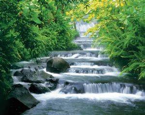 POSTER FORTUNA FALLS 40.6 X 50.8 CM POSTER FORTUNA FALLS 40.6 X 50.8 CM