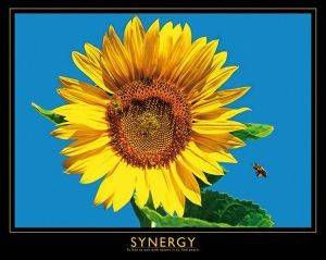 POSTER SYNERGY 40.6 X 50.8 CM POSTER SYNERGY 40.6 X 50.8 CM