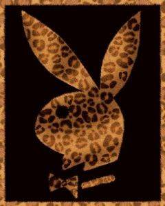 POSTER PLAYBOY FUR 40.6 X 50.8 CM