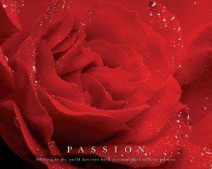 POSTER PASSION (40.6X50.8CM)