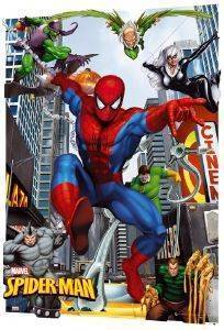 3D POSTER SPIDERMAN 47 X 67 CM 3D POSTER SPIDERMAN 47 X 67 CM