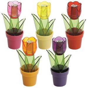 �����������  TULIPA  ���  15CM