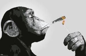 POSTER STEEZ-SMOKING 61 X 91.5 CM POSTER STEEZ-SMOKING 61 X 91.5 CM