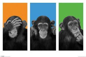 POSTER  WILD SIDE  61 X 91.5 CM