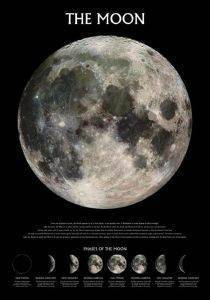 POSTER THE MOON  61 X 91.5 CM