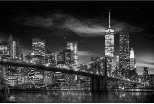 POSTER NEW-YORK-FREEDOM-TOWER  61 X 91.5 CM