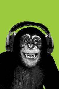 POSTER CHIMPANZEE 61 X 91.5 CM POSTER CHIMPANZEE 61 X 91.5 CM
