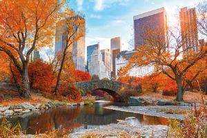 POSTER NEW YORK CENTRAL PARK AUTUMN 61 X 91.5 CM POSTER NEW YORK CENTRAL PARK AUTUMN 61 X 91.5 CM