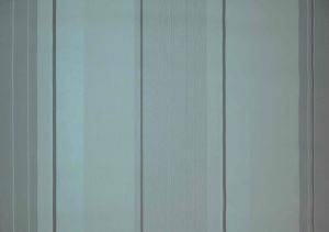 ���������� PETRANIS �� 628 ���� ��� ������� ��� ���� 0.53X10.05CM