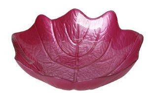   ESPIEL BIOTANIC   15X15CM (12)