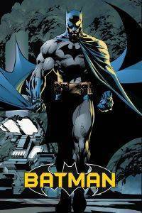 POSTER  PYRAMID INTERNATIONAL BATMAN FORCE 61 X 91.5 CM