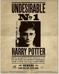 POSTER HARRY POTTER SIRIUS BLACK WANTED (61X91.5CM) POSTER HARRY POTTER SIRIUS BLACK WANTED (61X91.5CM)