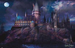 POSTER HARRY POTTER 61 X 91.5 CM POSTER HARRY POTTER 61 X 91.5 CM