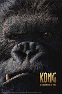 PP30462- POSTER KONG THE 8TH WONDER OF THE WORLD