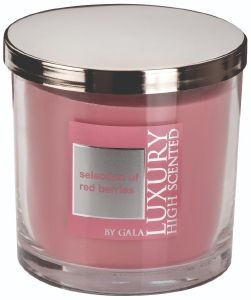 ΑΡΩΜΑΤΙΚΟ ΚΕΡΙ ΣΕ ΒΑΖΟ LUXURY 2 ΦΥΤΙΛΙΑ LYON 10X10CM RED BERRIES ΑΡΩΜΑΤΙΚΟ ΚΕΡΙ ΣΕ ΒΑΖΟ LUXURY 2 ΦΥΤΙΛΙΑ LYON 10X10CM RED BERRIES