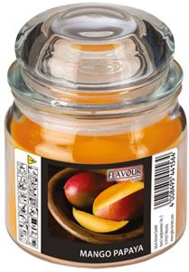 ΑΡΩΜΑΤΙΚΟ ΚΕΡΙ ΣΕ ΒΑΖΟ GALA FLAVOUR BON-BON 9X12CM MANGO PAPAYA ΑΡΩΜΑΤΙΚΟ ΚΕΡΙ ΣΕ ΒΑΖΟ GALA FLAVOUR BON-BON 9X12CM MANGO PAPAYA