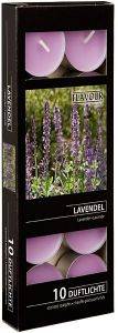 ��������� ���� GALA FLAVOUR 4 ���� 10���  LAVENDER
