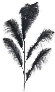 ΦΤΕΡΟ ΔΙΑΚΟΣΜΗΤΙΚΟ ΙNART ΜΑΥΡΟ Υ60/120CM ΦΤΕΡΟ ΔΙΑΚΟΣΜΗΤΙΚΟ ΙNART ΜΑΥΡΟ Υ60/120CM
