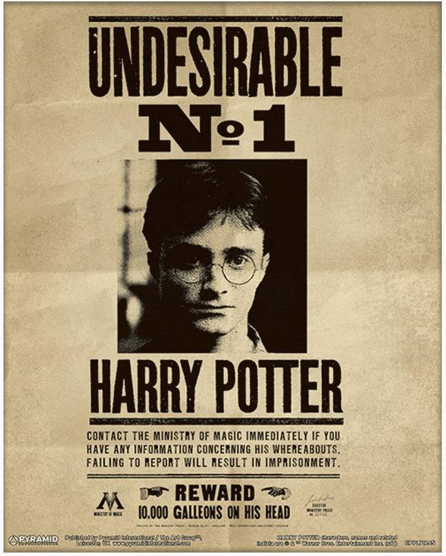 GB EYE POSTER HARRY POTTER SIRIUS BLACK WANTED (61X91.5CM)