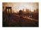  LES AMOUREUX DE BROOKLYN BRIDGE 40 X 50 CM