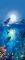 DOOR MURAL DOLPHIN IN THE SUN 86 X 210 CM DOOR MURAL DOLPHIN IN THE SUN 86 X 210 CM
