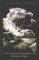 POSTER BENGAL TIGRS II 61 X 91.5 CM