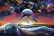 POSTER DOLPHIN UNIVERSE 61 X 91.5 CM POSTER DOLPHIN UNIVERSE 61 X 91.5 CM