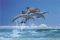 POSTER FOUR DOLPHINS 61 X 91.5 CM POSTER FOUR DOLPHINS 61 X 91.5 CM