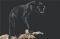 POSTER BLACK PANTHER 61 X 91.5 CM