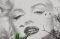 �������������� MARILYN A CANNES 175 X 115 CM
