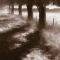  TREES ALONG PATH 50  50 CM