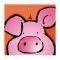 ��������� PIG 30 � 30 CM