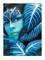 ��������� AMAZONA THE RIVER (60�80CM)