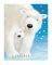 DIANA POSTERS: FLUFFY BEARS I 40  5...