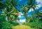 �������������� ISLAND IN THE SUN 366 X 254 CM