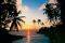 �������������� TROPICAL SUNDOWN 366 X 254 CM