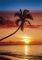 POSTER SUNSET & PALM TREE 61 X 91.5 CM