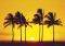 POSTER HAWAII SUNSET 61 X 91.5 CM