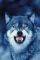 POSTER WOLF 61 X 91.5 CM