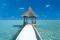 POSTER MALDIVE'S PIER 61 X 91.5 CM