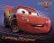 POSTER CARS SPORT 40.6 X 50.8 CM